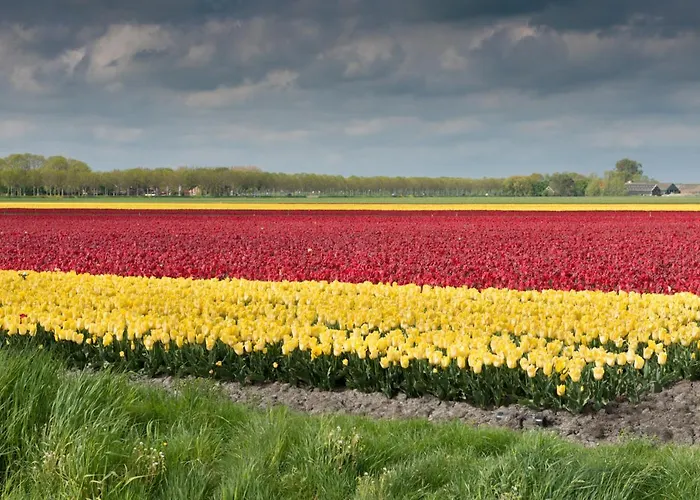 Pensionat Buitenplaats Langewijk 3*