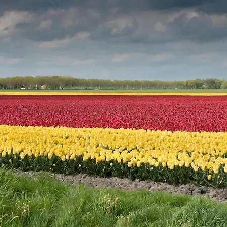 Konukevi Buitenplaats Langewijk *